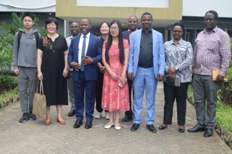 capacity building at DUCE